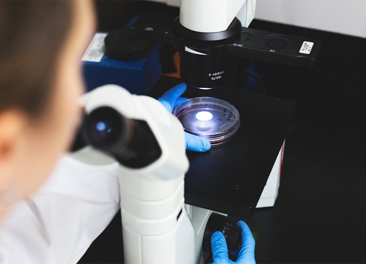 先锐达@噬菌体抗噬剂可使长尾型烈性噬菌体(T4)污染的情况下...